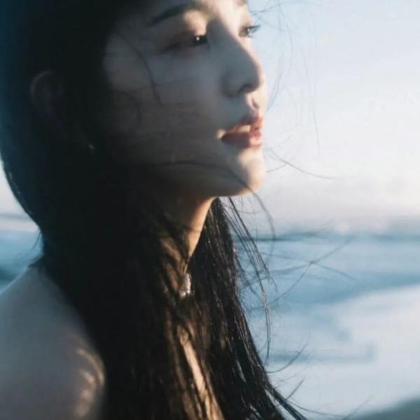 尘埃落定 海报